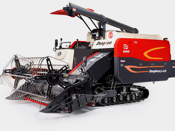 娄底做网站公司